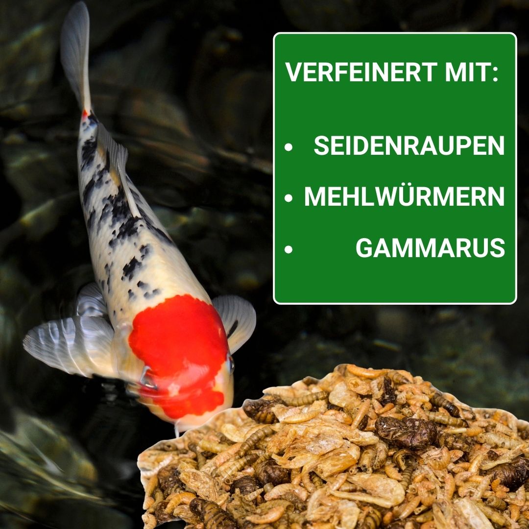 mit Seidenraupen, Mehlwürmern, Gammarus