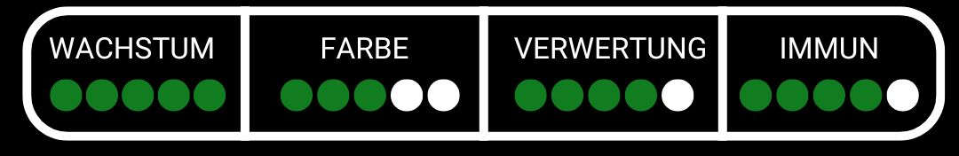 Weitere  Informationen