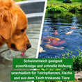 Bild in Galerie-Betrachter laden, Fadenalgenstopp Schwimmteich

