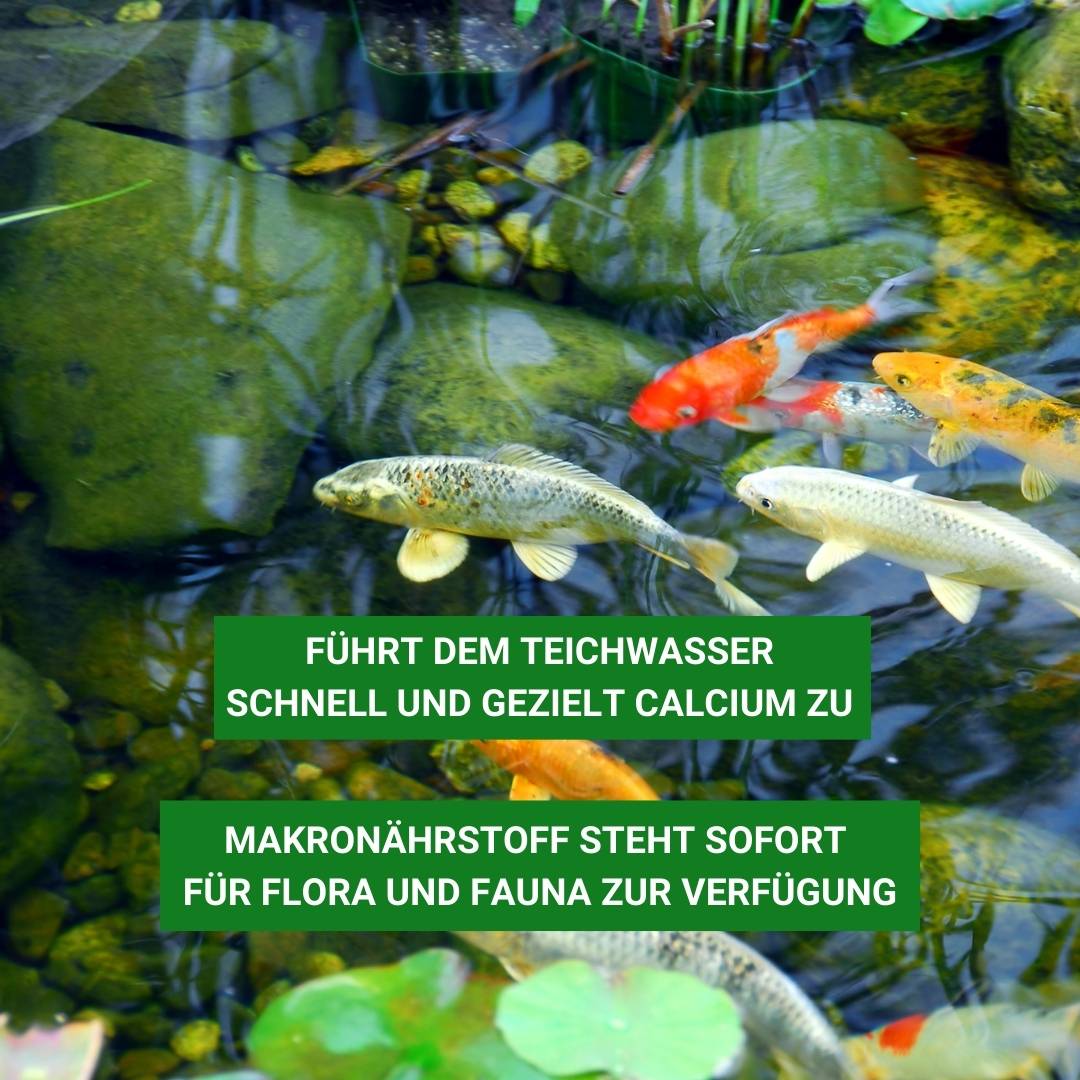 GH Plus steht Flora und Fauna sofort zur Verfügung