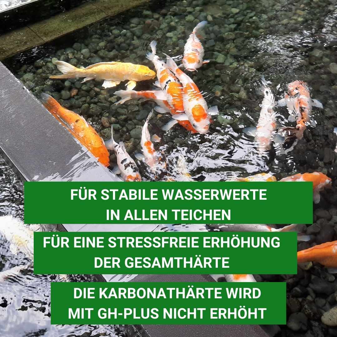 GH Plus erhöht nicht die Karbonathärte