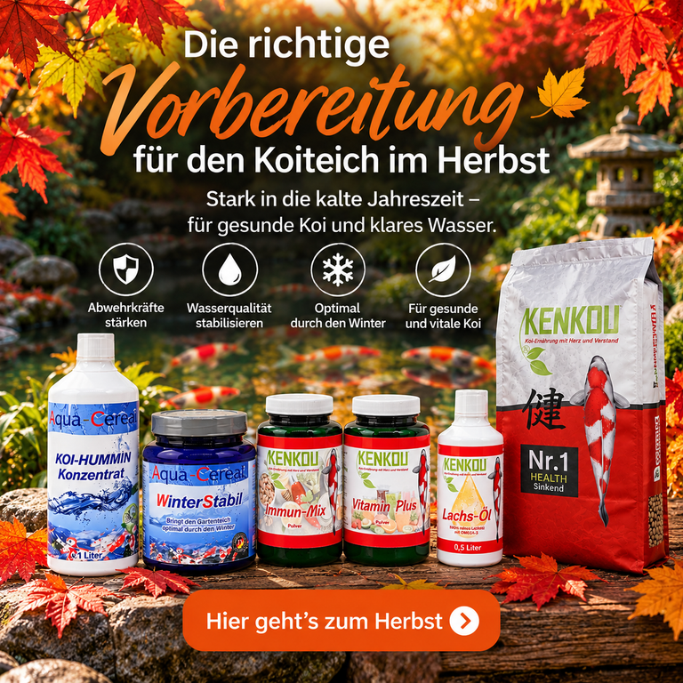 Koifutter für den Herbst