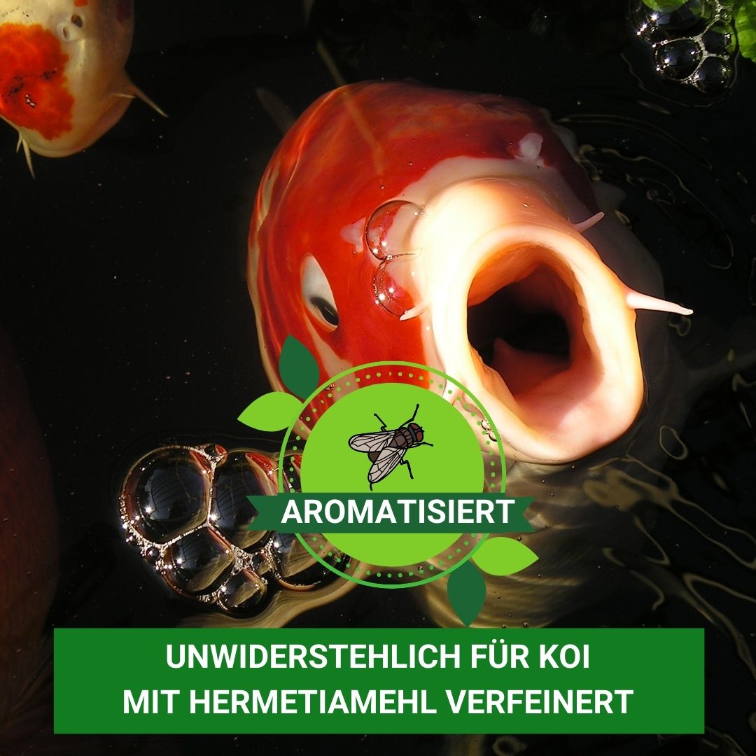 Koifutter mit Hermetialmehl