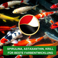 Bild in Galerie-Betrachter laden, Koifutter mit Spirulina und Krill

