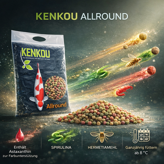 Allround Koi Futter