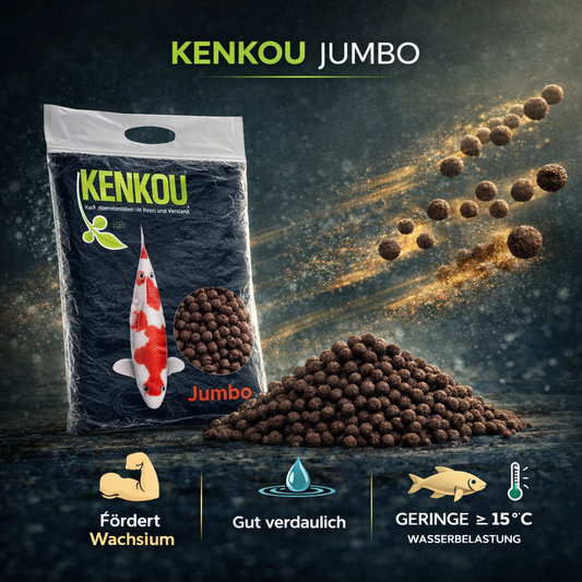 Kenkou Jumbo Koi Futter