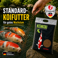 Bild in Galerie-Betrachter laden, KENKOU JUMBO, Standard Wachstumsfutter 6 mm
