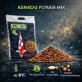 Bild in Galerie-Betrachter laden, Kenkou Power-Mix Koi Futter
