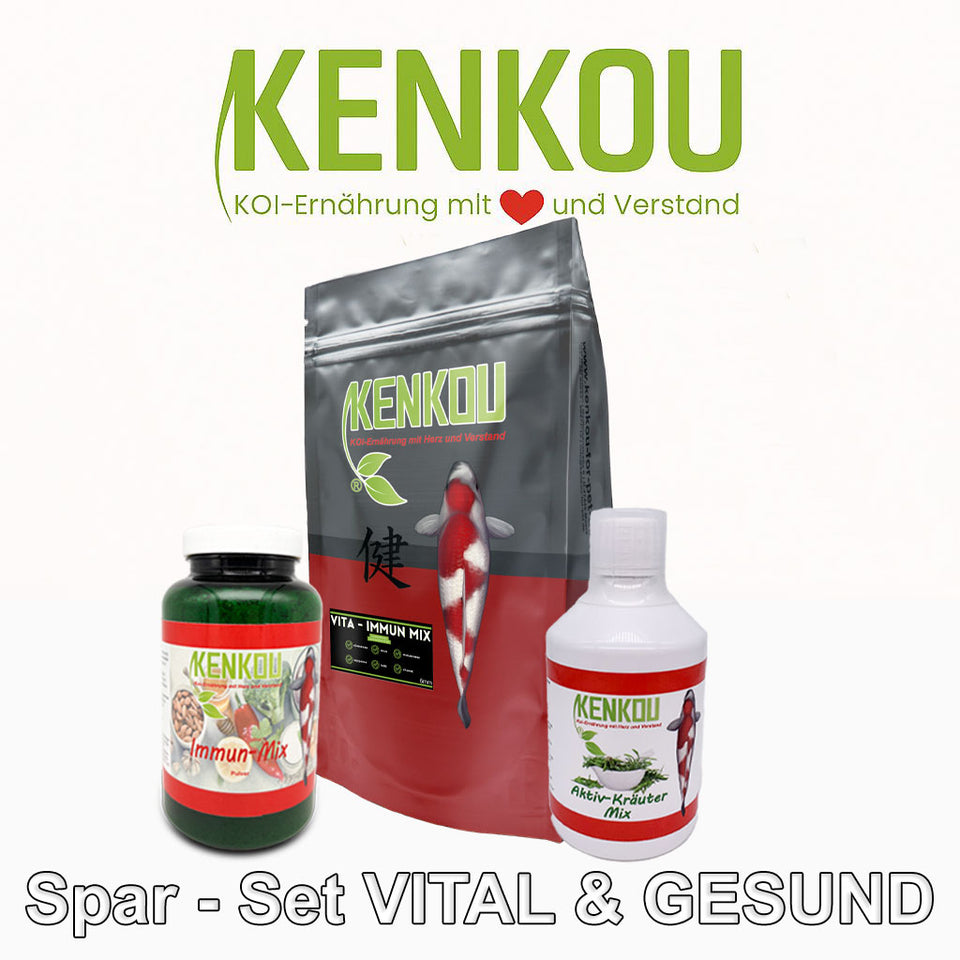 Koifutter Set "Vital und Gesund "