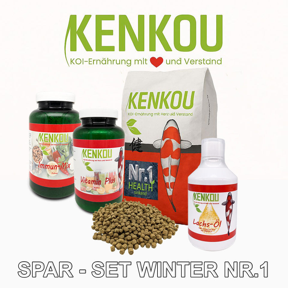 Koifutter Spar-Set -Winter Nr.1- Health, Vitamin Plus, Immun Mix, Lachs-Öl