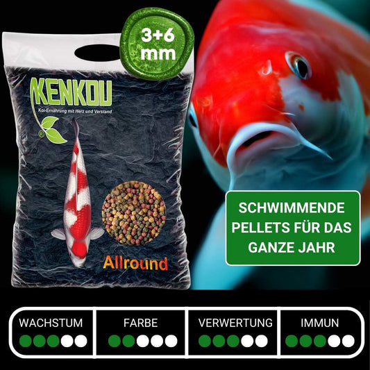 Koifutter Allround Mischung aus 3 und 6 mm Pellets