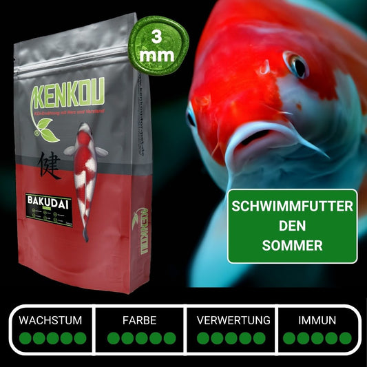 Koifutter Premium für den Sommer