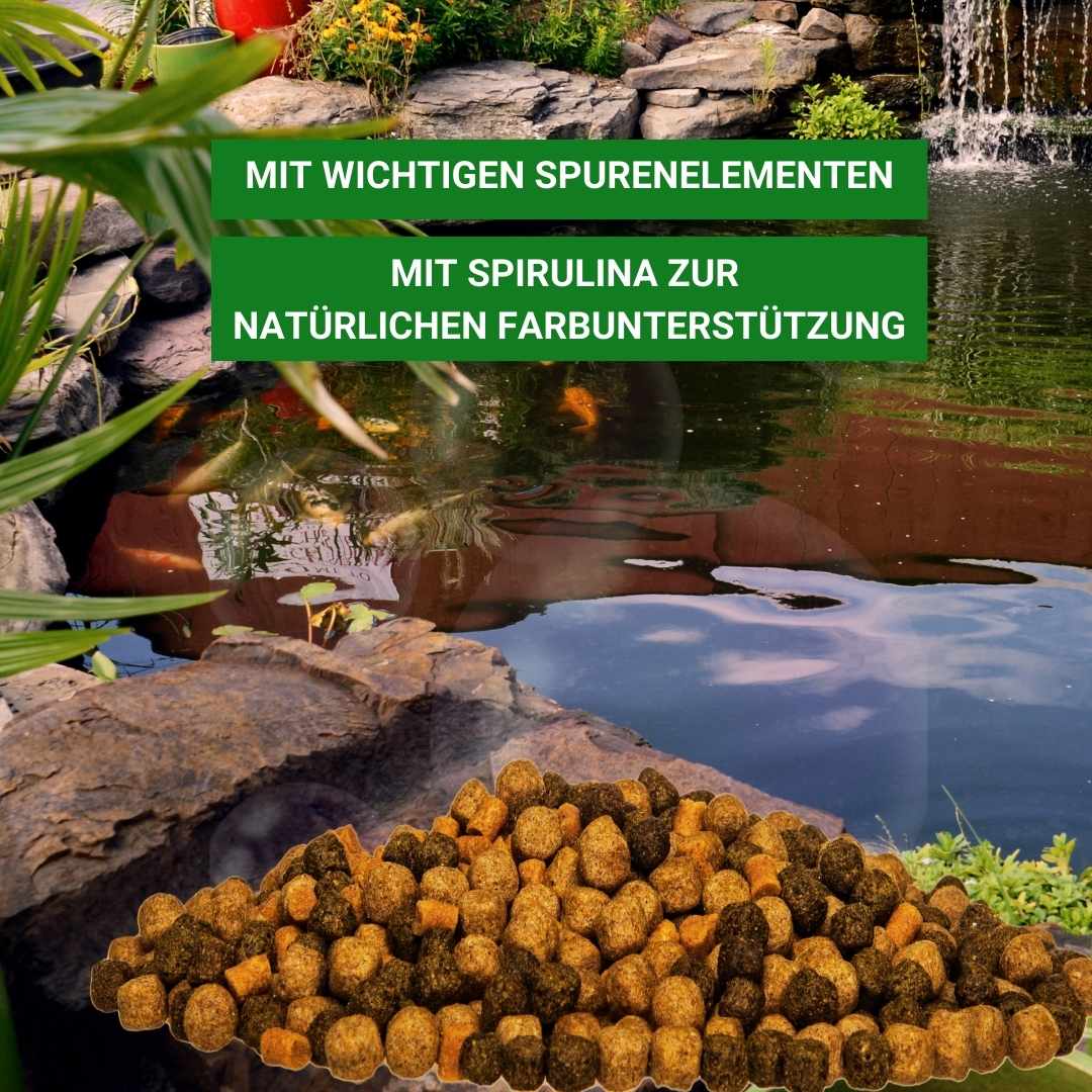 Koifutter mit Spirulina 6 mm