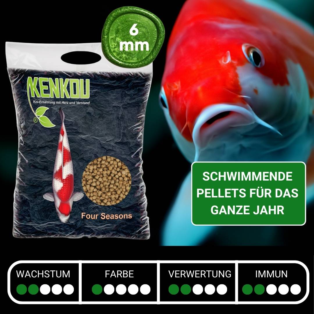 Fischfutter für Teich günstig kaufe