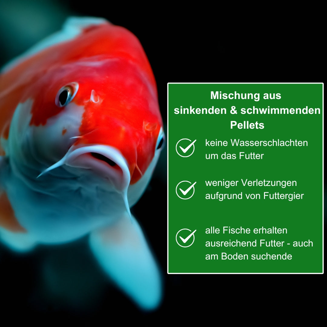 Koifutter Mischung schwimmend und sinkend