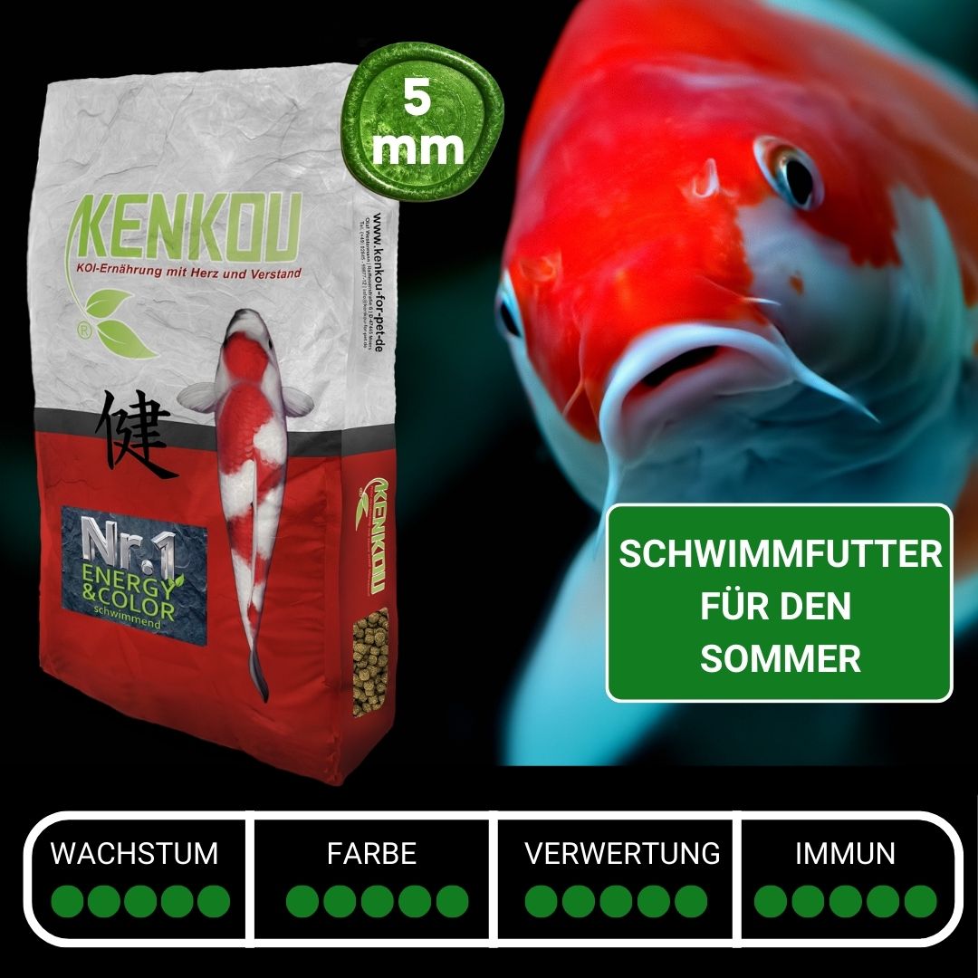 Koifutter KENKOU Nr.1 Energy & Color unser bestes Koifutter für Wachstum und Farbe