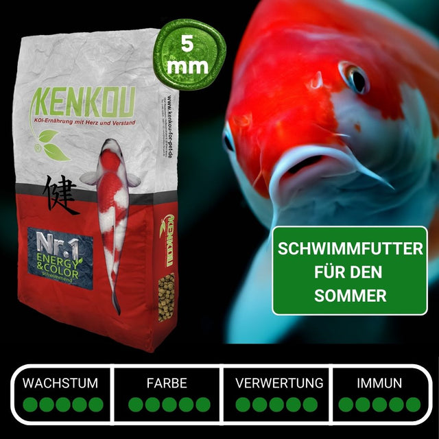Koifutter KENKOU Nr.1 Energy & Color unser bestes Koifutter für Wachstum und Farbe