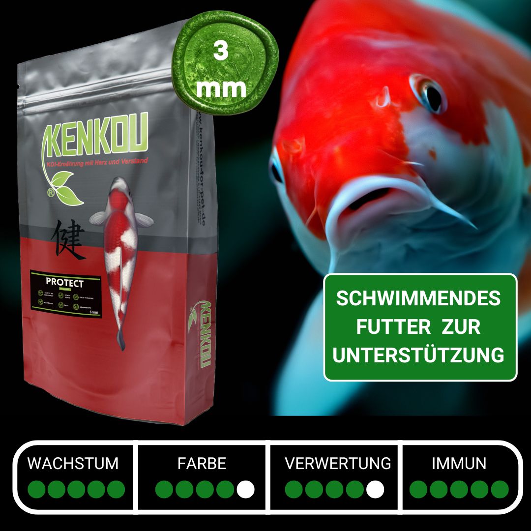 KENKOU Protect Koifutter 3 mm, gegen Kiemenwürmer
