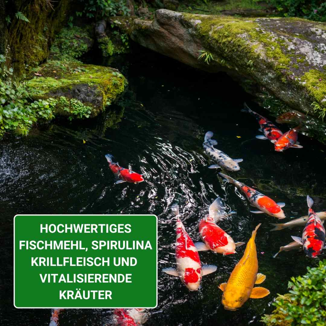 Koi snacks mit Fischmehl für gute Verwertung