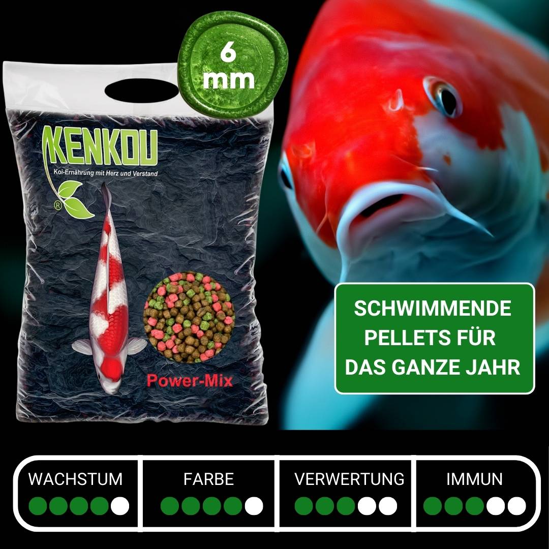 Power Koifutter für Farbe und Wachstum aus dem Koifutterhandel