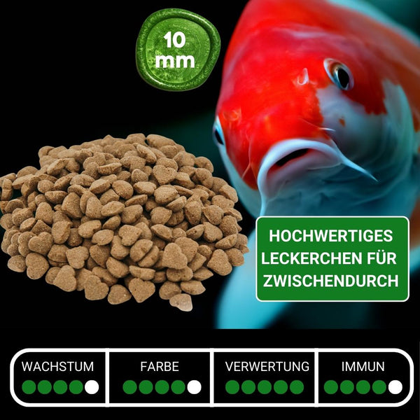 KENKOU® KOI - Pralines für die Fütterung aus der Hand