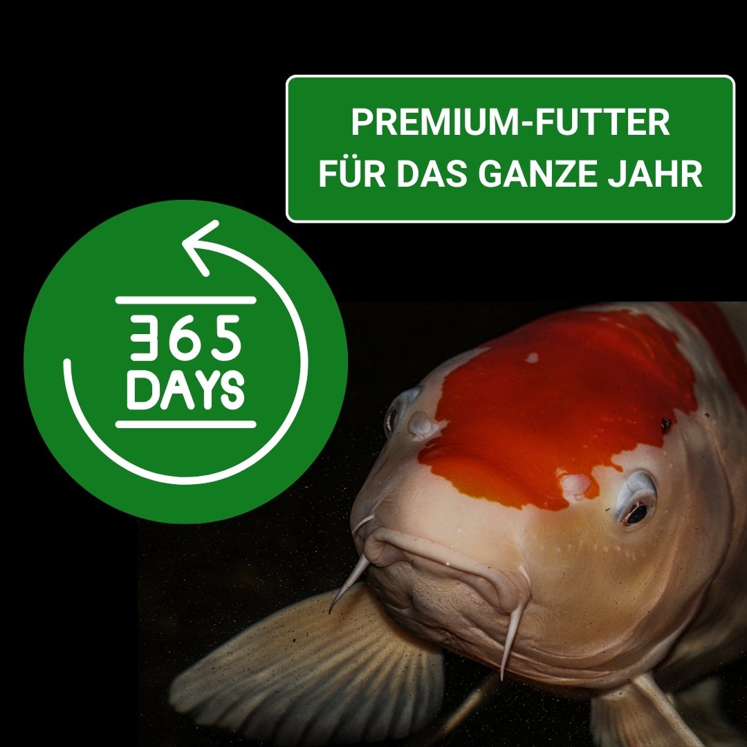 Koifutter 360 Tage füttern