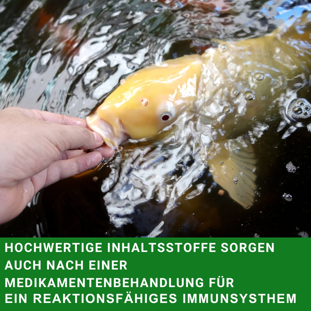 Koifutter 30 kg, 6mm