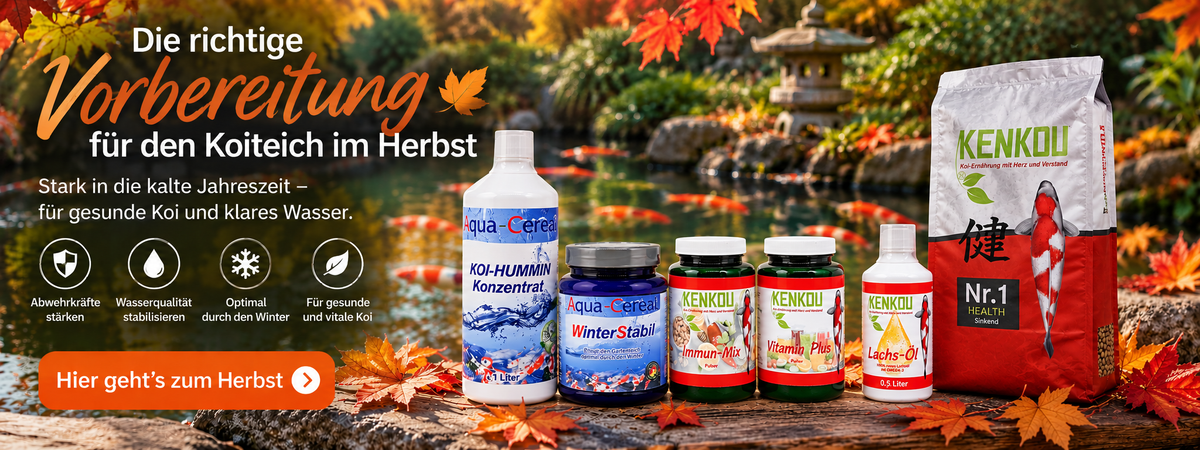 Koifutter für den Herbst