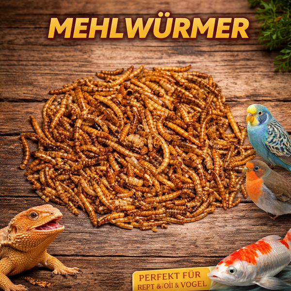 Insektus® Mehlwürmer getrocknet im Vorratsbehälter 850g