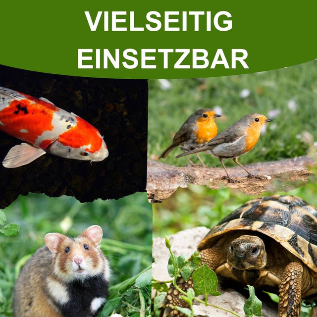 Mehlwürmer kaufen - für viele Tierarten