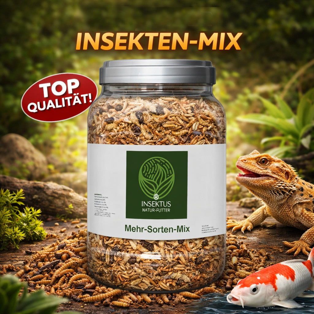 Insekten-Mix,  Insekten getrocknet