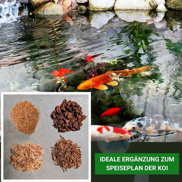 Naturfutter Insektus® Mehr Sorten Mix im Vorratsbehälter 5 L.