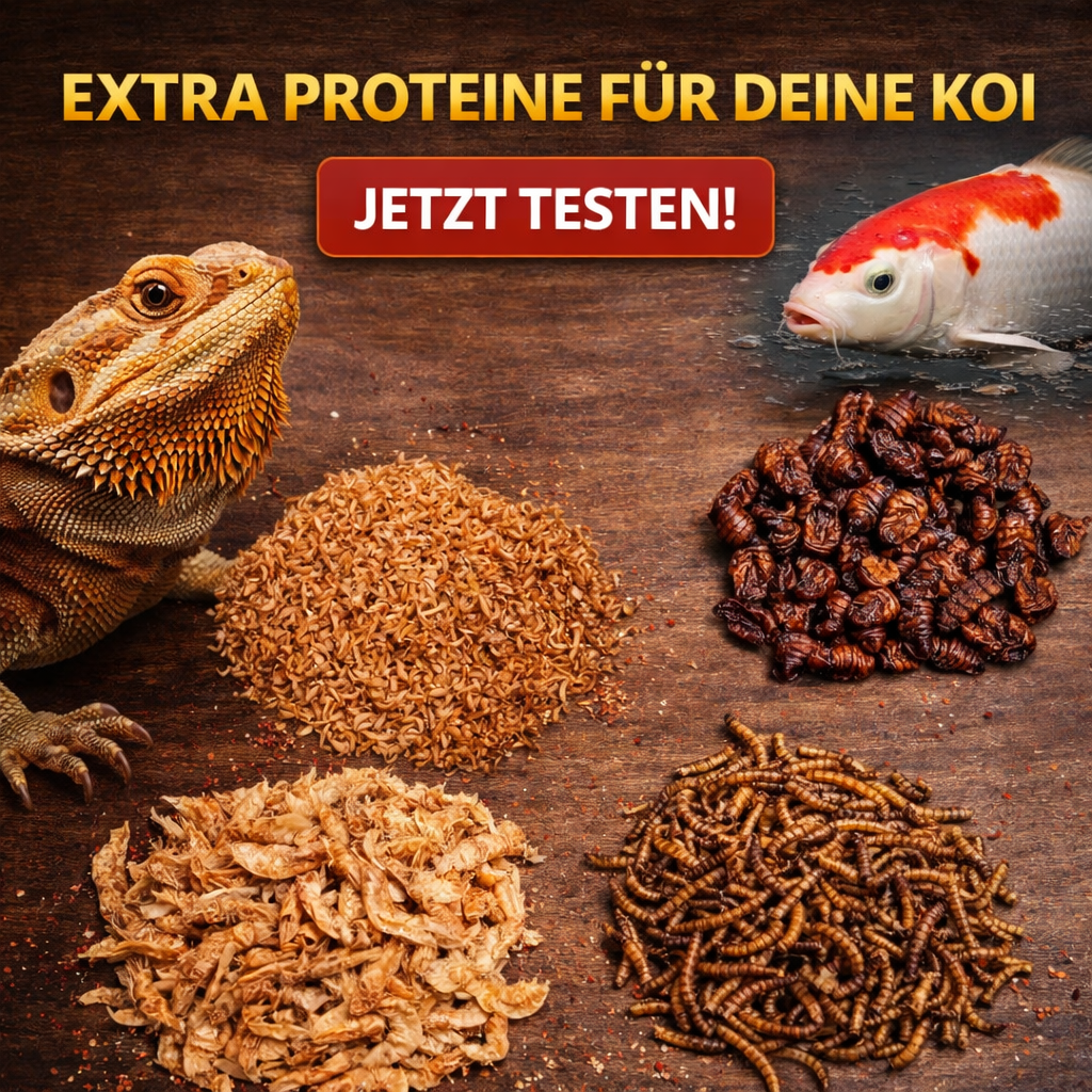 Insekten-Mix
