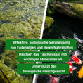Bild in Galerie-Betrachter laden, Fadenalgen im Teich bekämpfen - die biologische Lösung
