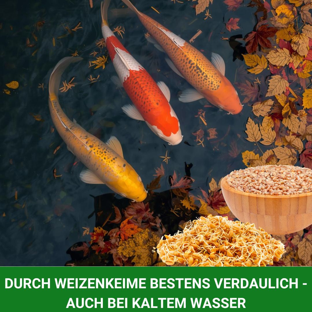 bestens verdaulich durch Weizenkeime