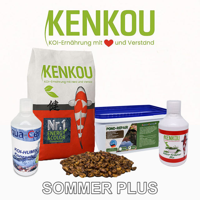 Sommer Plus Set Koifutter
