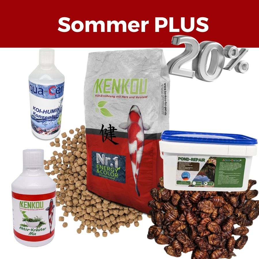 ✅ Koifutter & Teichpflege Angebote - günstig kaufen!