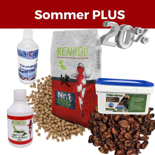 Sparpaket für den Teich im Sommer