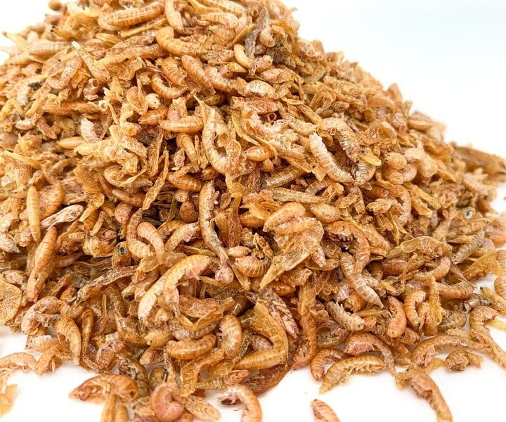 Bachflohkrebse / Gammarus Insektus® 500g -Nachfüllbeutel- - Gammarus - Niederrhein-Koi