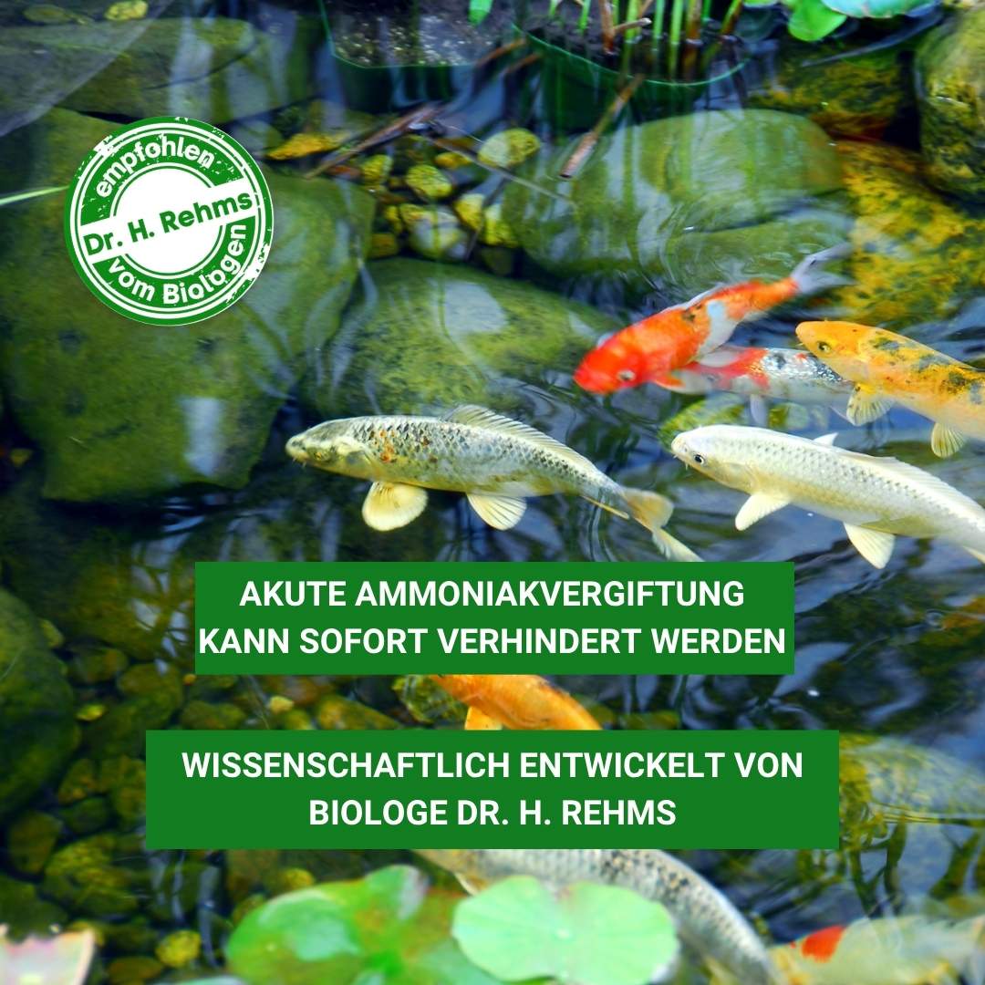 akute Ammoniakvergiftung kann sofort verhindert werden