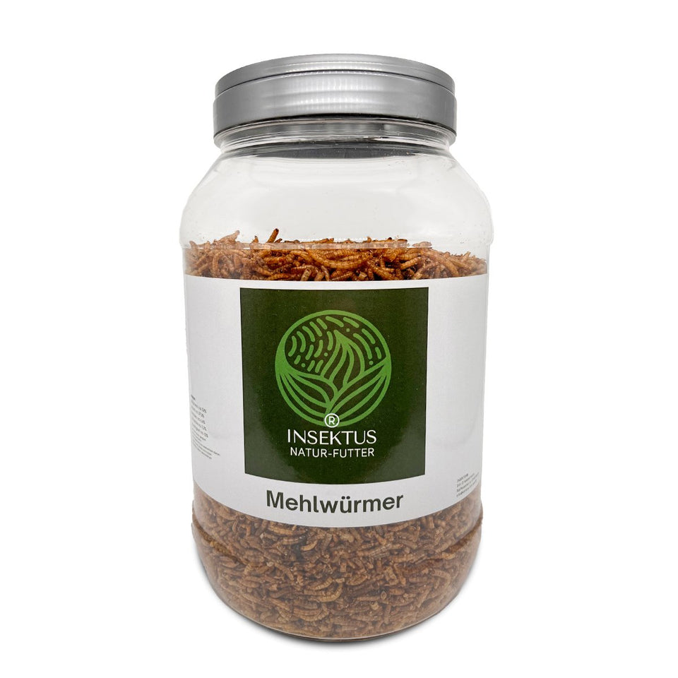 Mehlwürmer kaufen