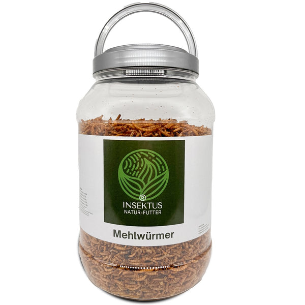 Insektus® Mehlwürmer getrocknet im Vorratsbehälter 850g