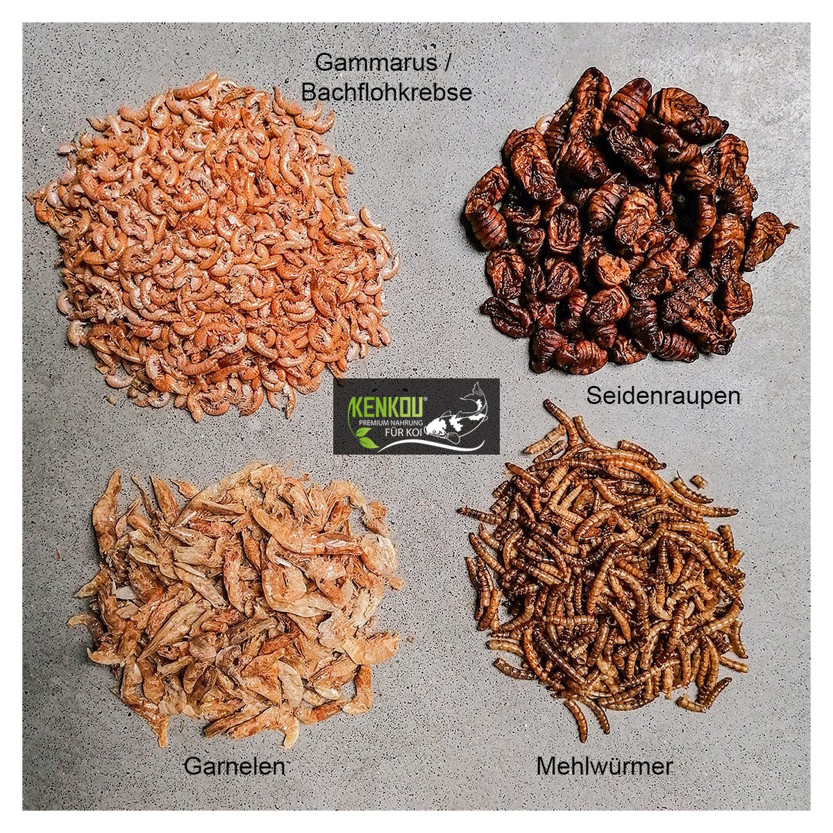 Naturfutter als Leckerchen für KOI