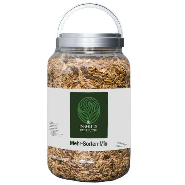 Naturfutter Insektus® Mehr Sorten Mix im Vorratsbehälter 5 L.