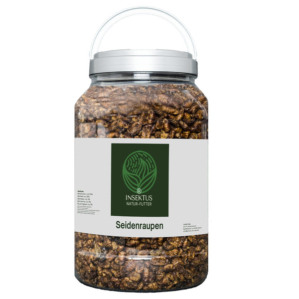 Insektus® Seidenraupen im Vorratsbehälter 1,5 kg