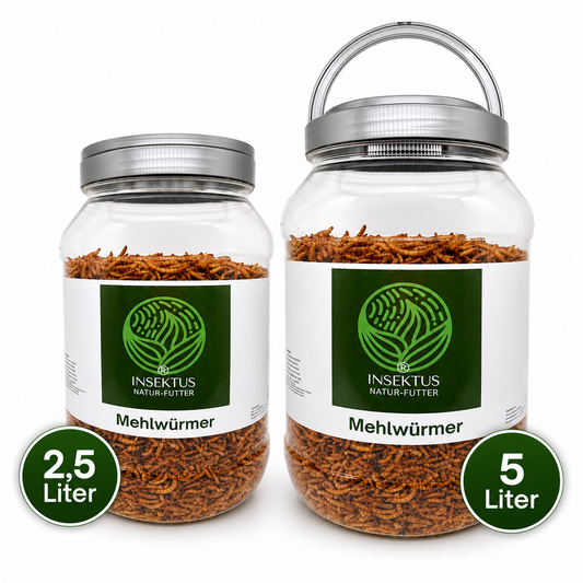mehlwuermer-2.5l_und5l_im_vorratsbehaelter