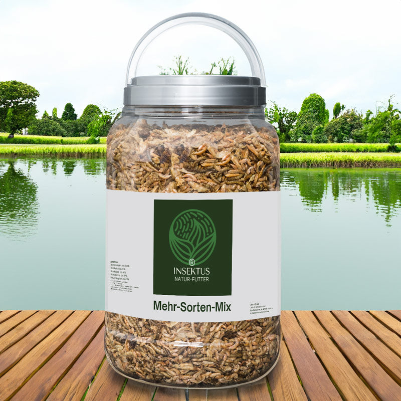 Weitere  Informationen