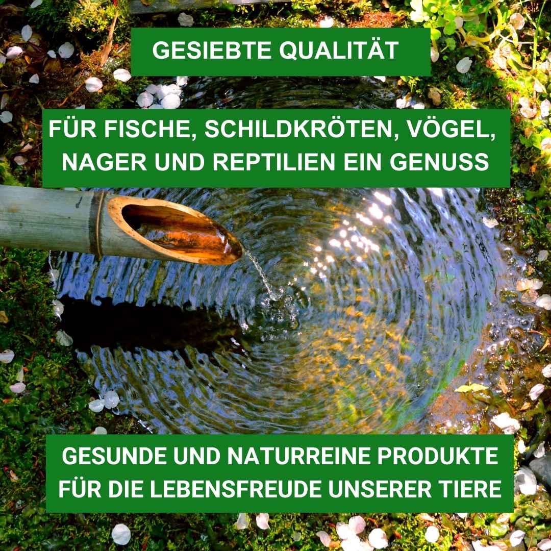 Premiumqualität vom Profi für getrocknete Isekten
