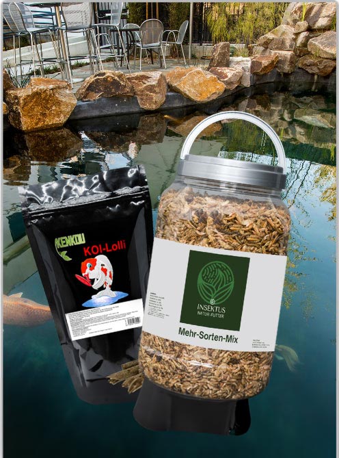 Koi Leckerli