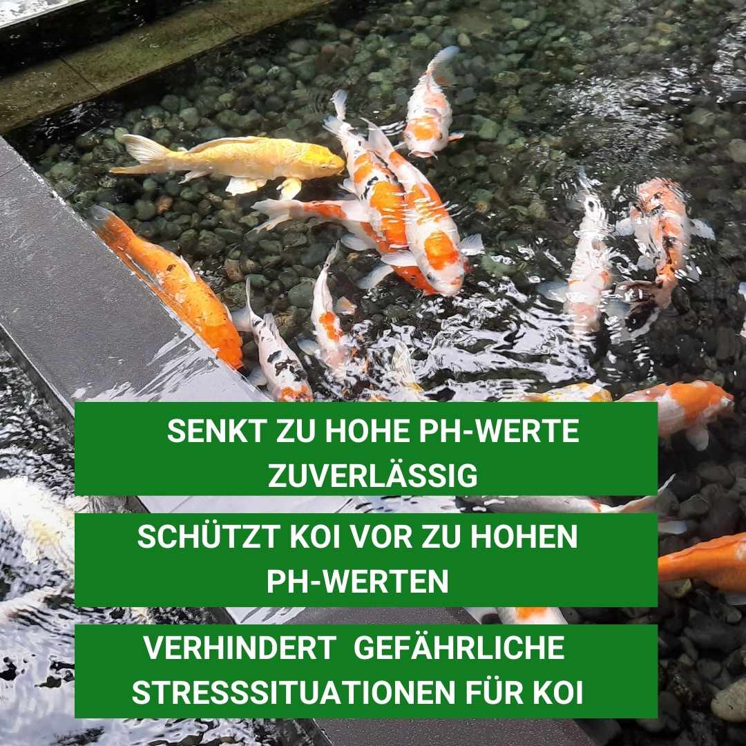 pH-Minus verhindert Stresssituationen bei KOI